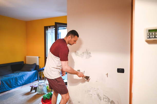 Best Office Mold Removal Services  in Berea, SC